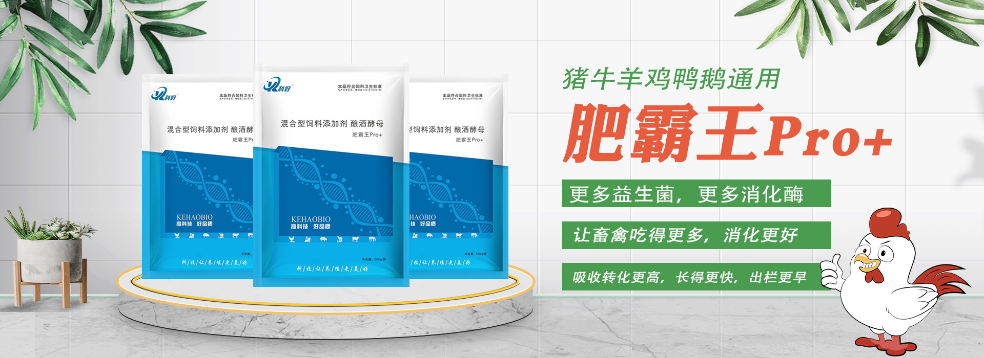 未知图片